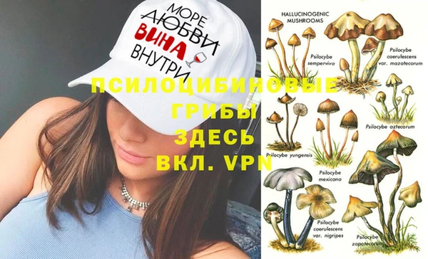 гашик Баксан