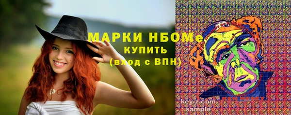 индика Балахна