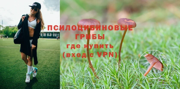 индика Балахна