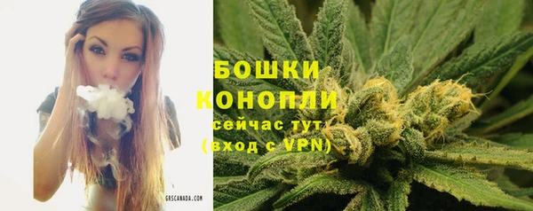 гашик Баксан