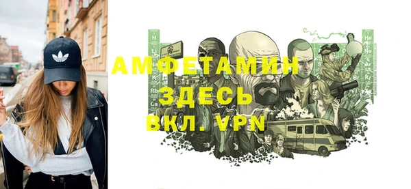 индика Балахна
