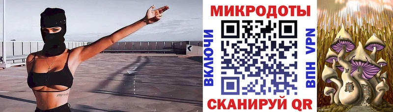 Псилоцибиновые грибы Magic Shrooms  кракен сайт  Петровск  наркошоп 